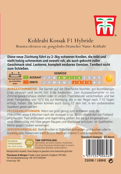  Kohlrabi Kossa F1-Hybride