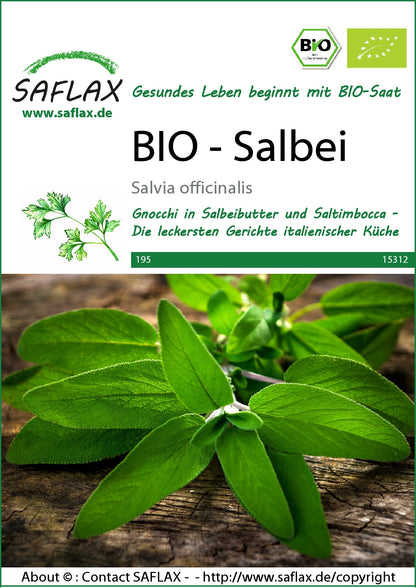  BIO Salbei