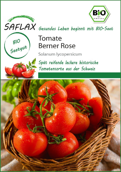  BIO Tomate Berner Rose