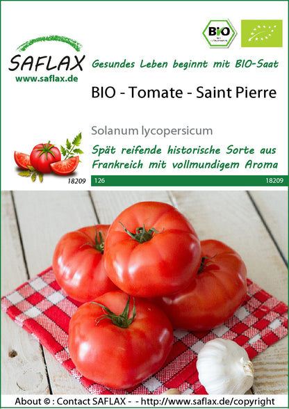  BIO Tomate Saint Pierre