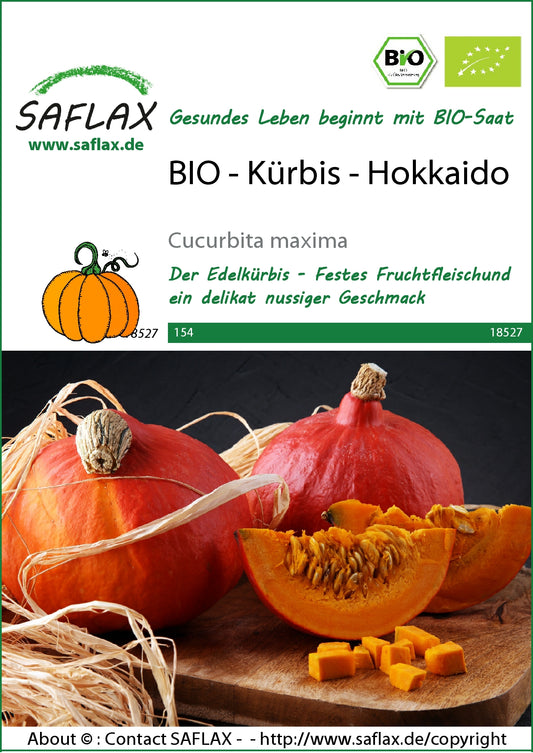  BIO Kürbis Hokkaido