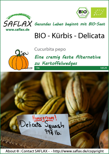  BIO Kürbis Delicata