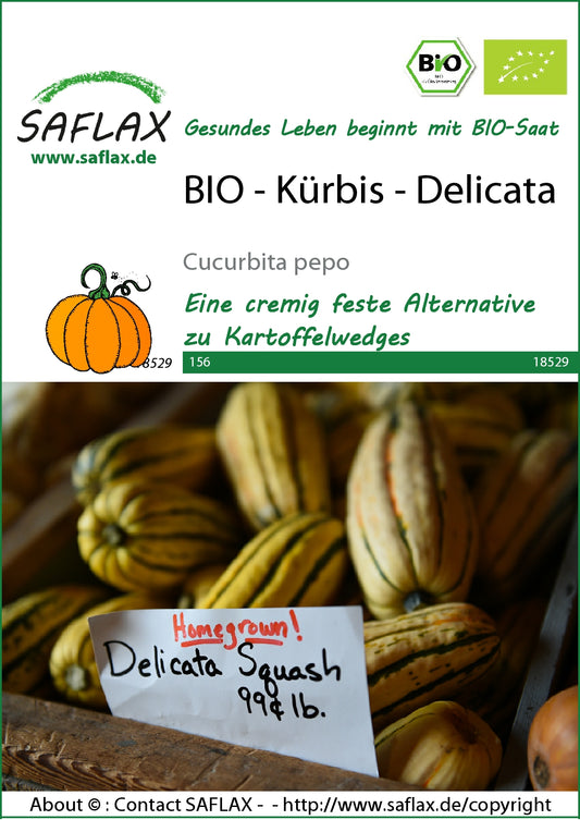  BIO Kürbis Delicata