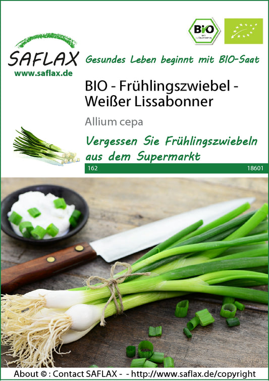  BIO Frühlingszwiebel Weißer Lissabonner