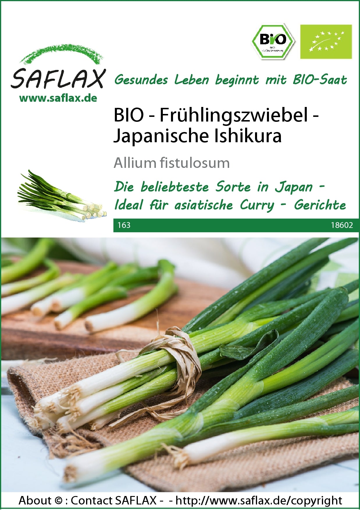  BIO Frühlingszwiebel Japanische Ishikura