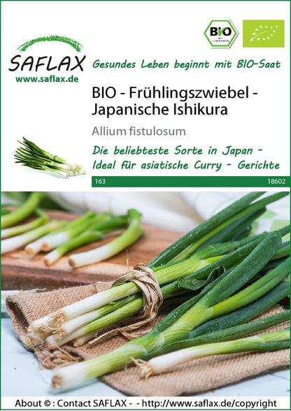  BIO Frühlingszwiebel Japanische Ishikura