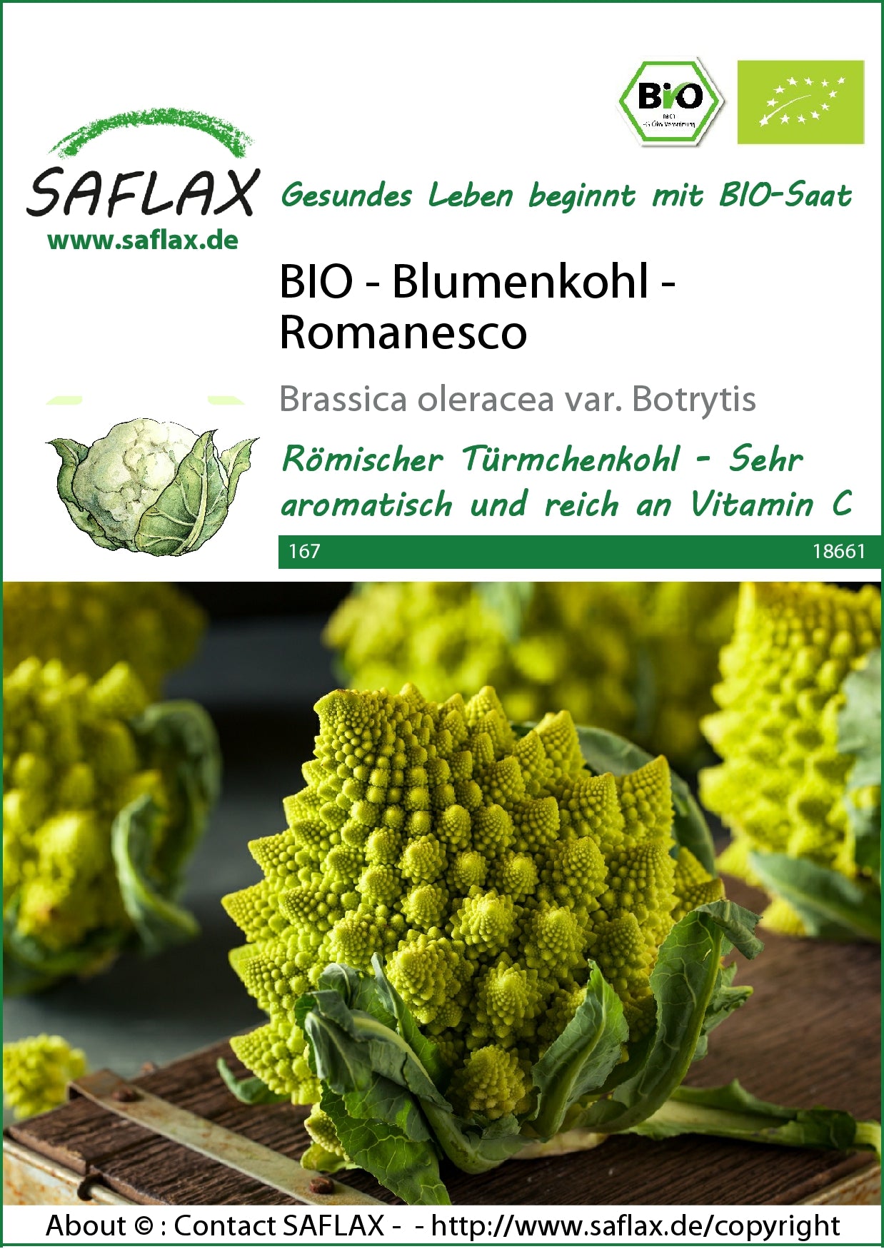  BIO Blumenkohl Romanesco