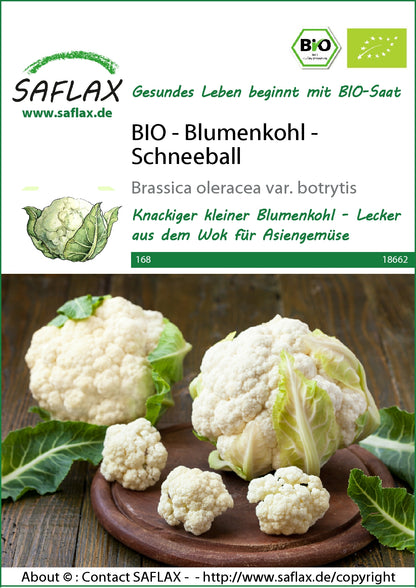  BIO Blumenkohl Schneeball