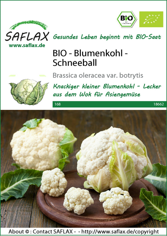  BIO Blumenkohl Schneeball