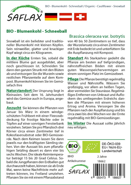  BIO Blumenkohl Schneeball
