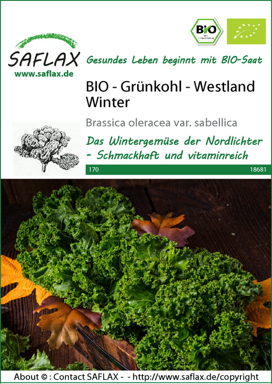  BIO Grünkohl Westland Winter