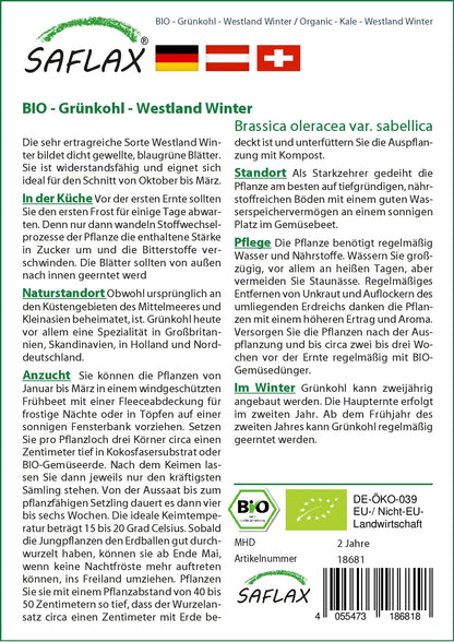  BIO Grünkohl Westland Winter