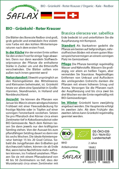  BIO Grünkohl Roter Krauser
