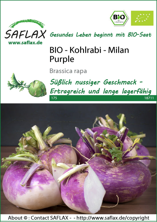 BIO Kohlrabi Milan Purple