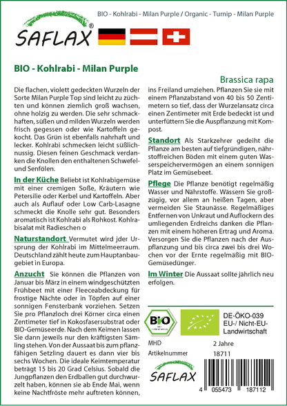  BIO Kohlrabi Milan Purple