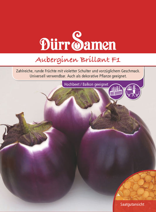  Auberginen Brillant F1