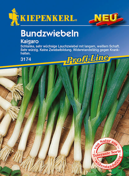  Bundzwiebel Kaigaro