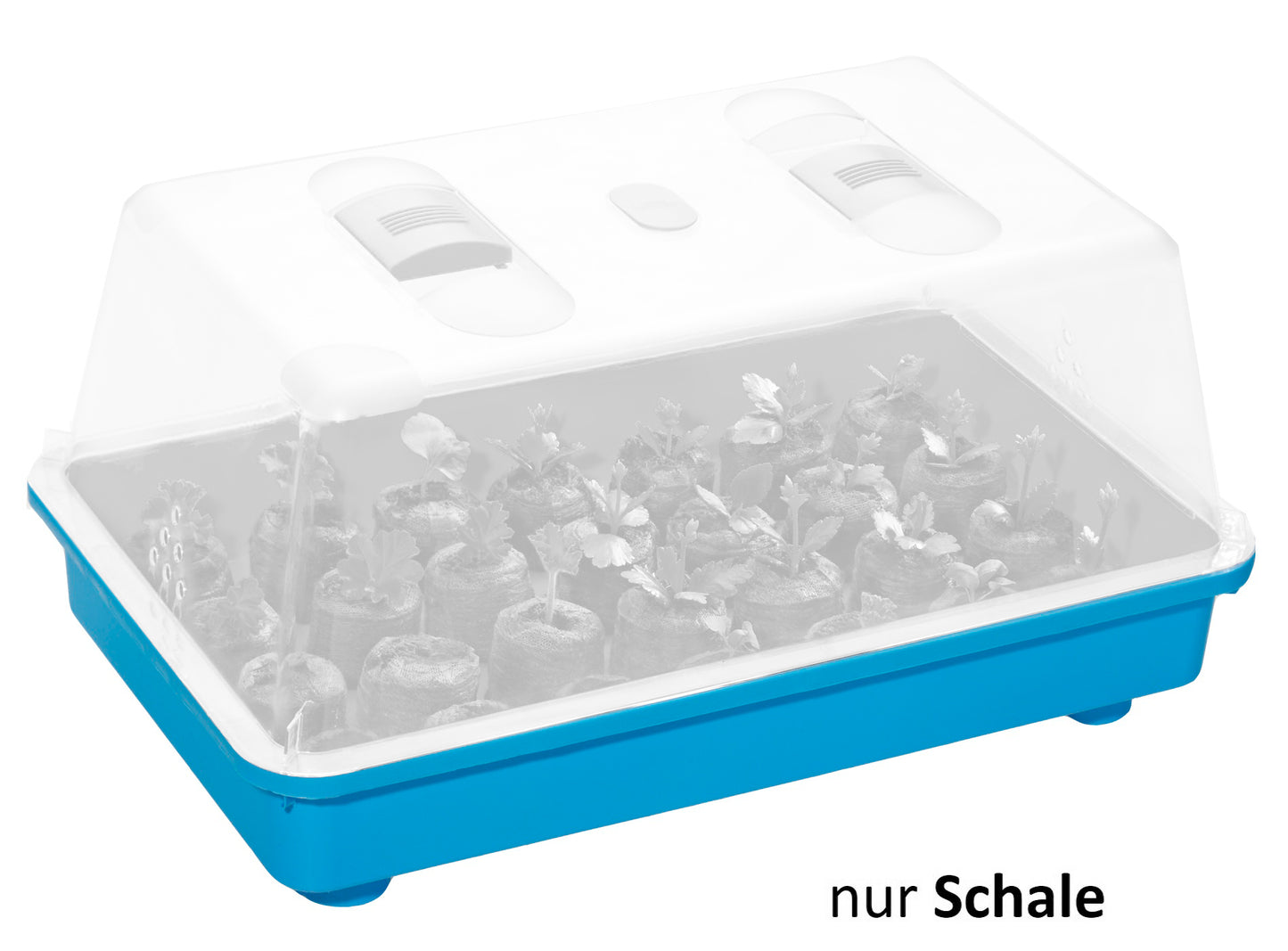  38 X 24 X 6 Cm Anzuchtschale Für Zimmergewächshaus Hellblau
