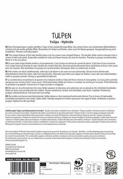  Tulpe Ice Cream (3 Stück)