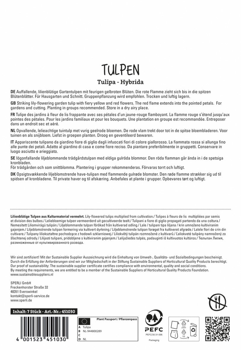  Tulpe Firework (7 Stück)
