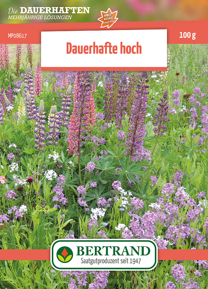  Blumenwiese Mehrjährige Hohe Stauden (100 G)