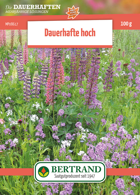  Blumenwiese Mehrjährige Hohe Stauden (100 G)