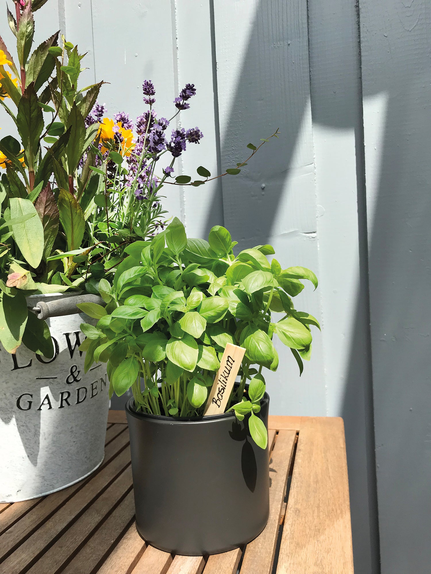  Romberg Holz-Stecketikett