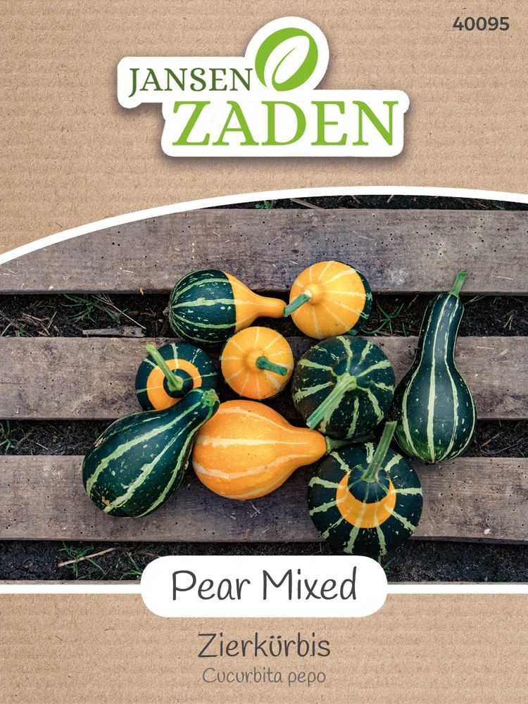  Zierkürbis Pear Mixed