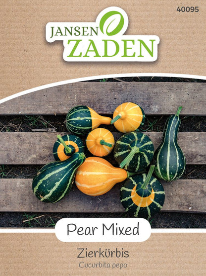  Zierkürbis Pear Mixed