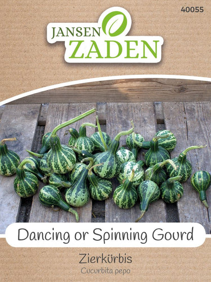  Zierkürbis Dancing Or Spinning Gourd