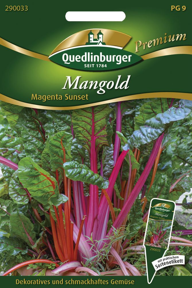  Mangold Magenta Sunset