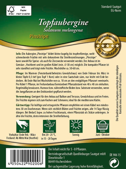  Topfaubergine Pinstripe F1