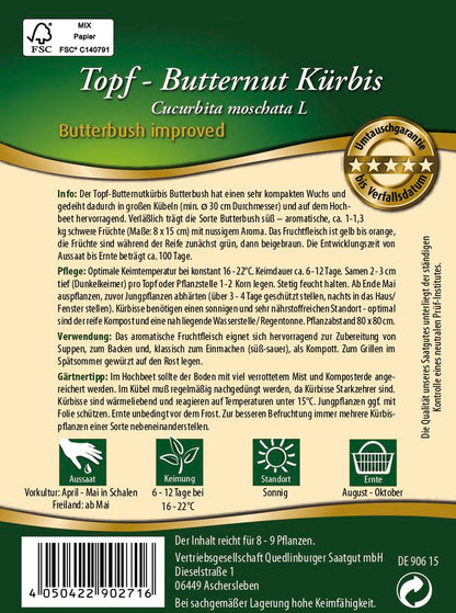  Topf-Butternut Kürbis Butterbush Improved F1