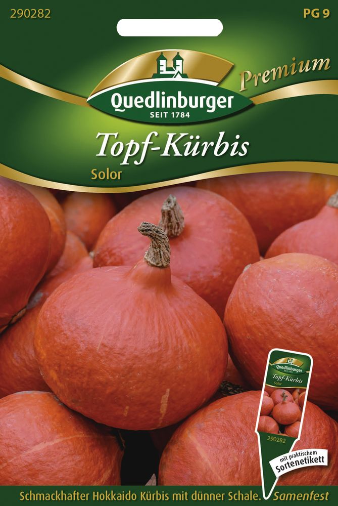  Topf-Kürbis Solor