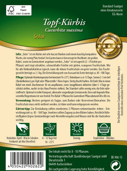  Topf-Kürbis Solor