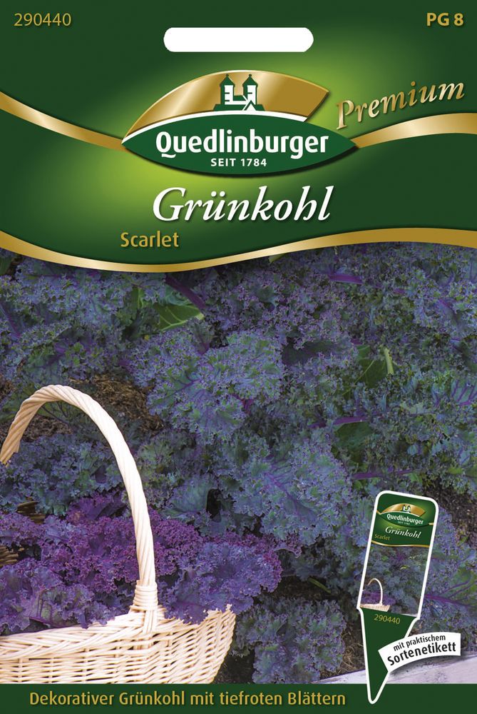  Grünkohl Scarlet