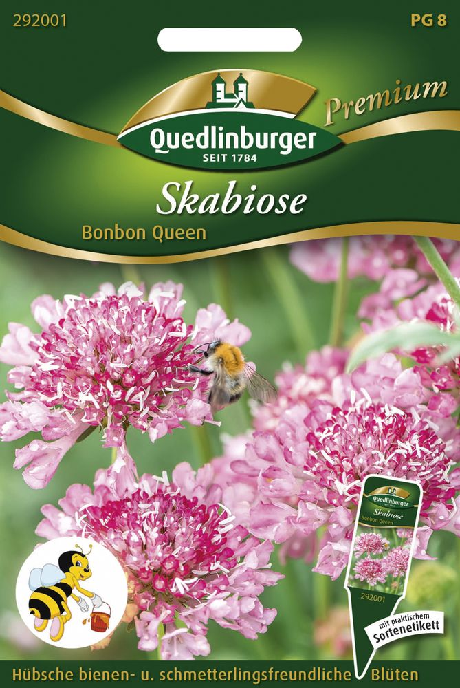  Skabiose Bonbon Queen