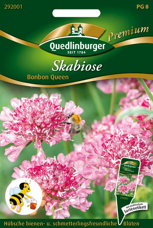  Skabiose Bonbon Queen