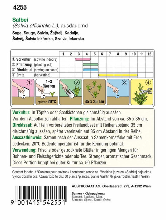  Salbei