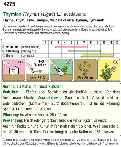  Thymian