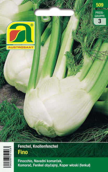  Knollenfenchel Fino [MHD 12/2025]