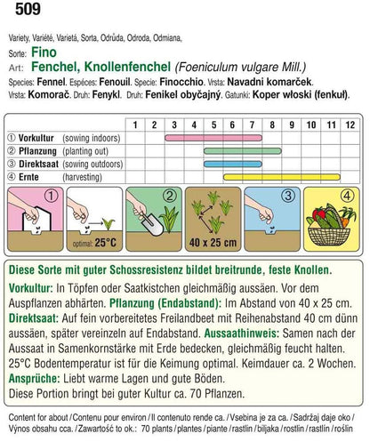  Knollenfenchel Fino [MHD 12/2025]