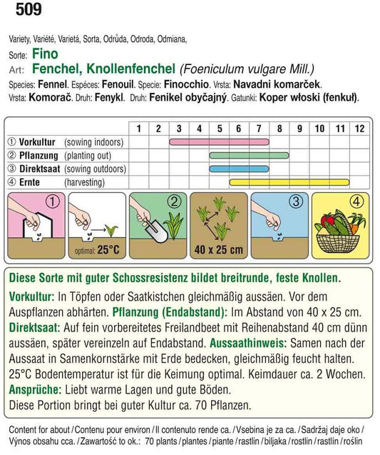  Knollenfenchel Fino [MHD 12/2025]