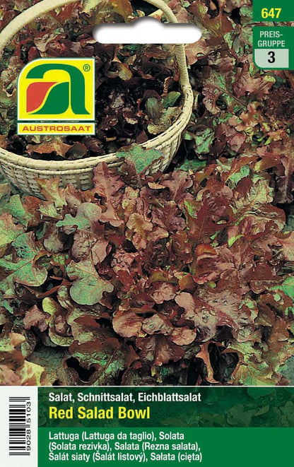  Schnittsalat Red Salad Bowl [MHD 12/2025]
