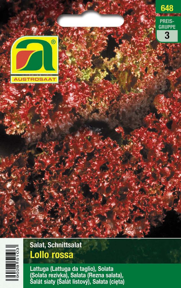  Schnittsalat Lollo Rossa [MHD 12/2025]