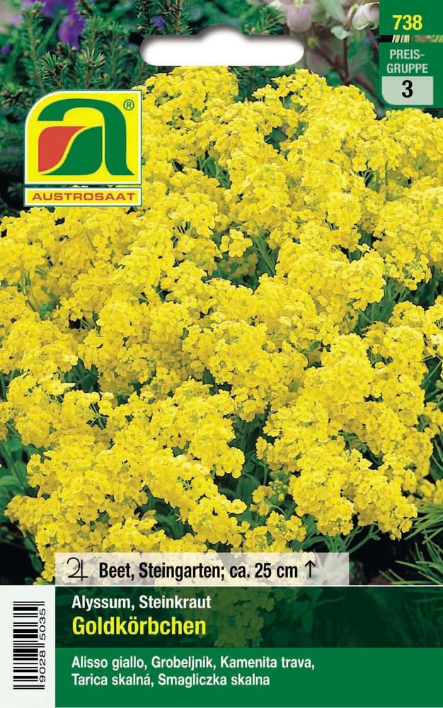  Steinkraut Goldkörbchen [MHD 12/2025]