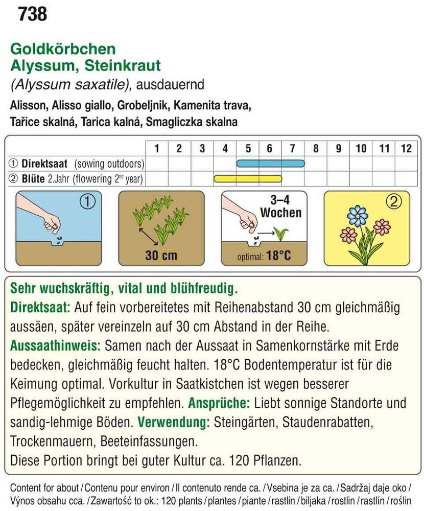  Steinkraut Goldkörbchen [MHD 12/2025]