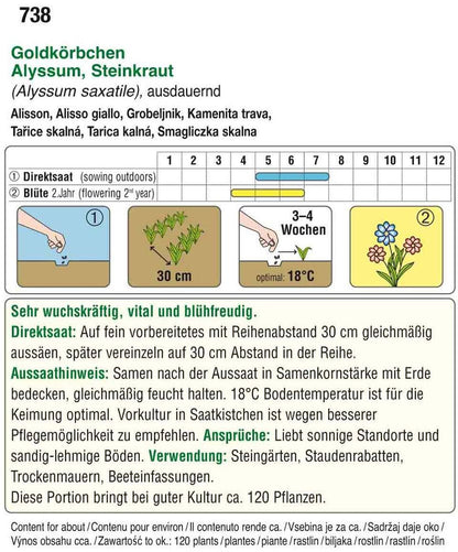  Steinkraut Goldkörbchen [MHD 12/2025]