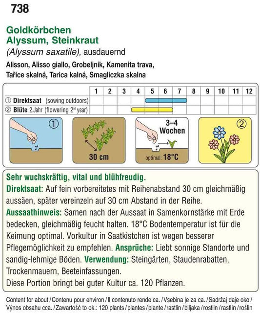  Steinkraut Goldkörbchen [MHD 12/2025]