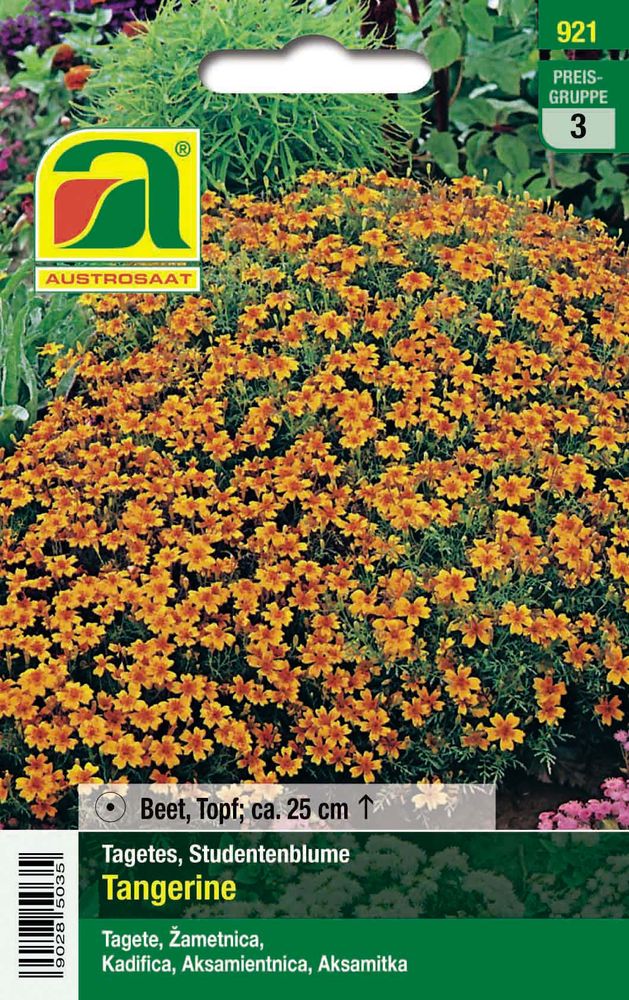  Studentenblume Tangerine [MHD 12/2025]